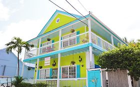 Caribbean House